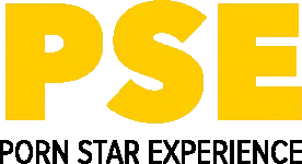PSE Porn Star Experience logo
